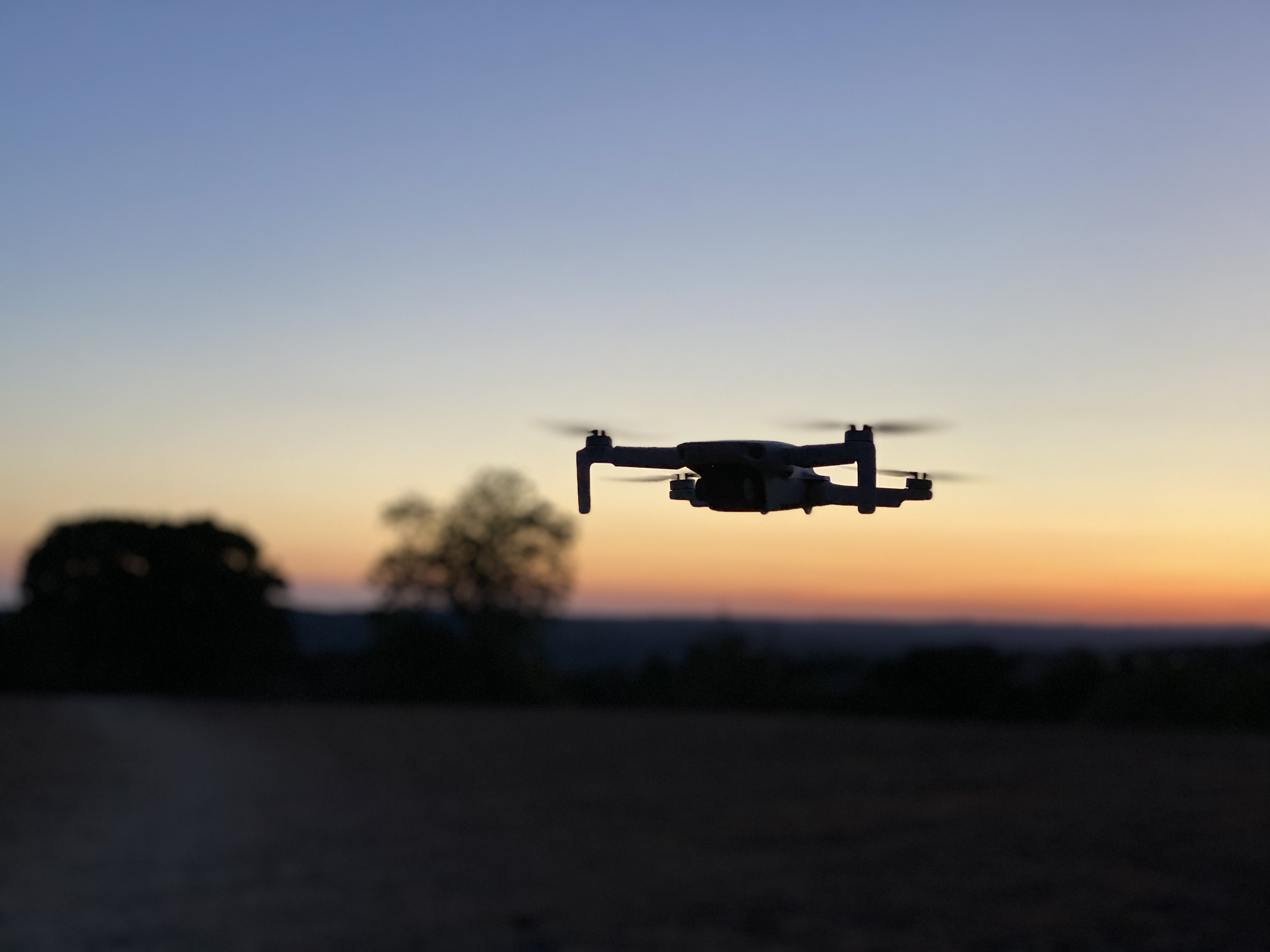 Professional drone in the field
